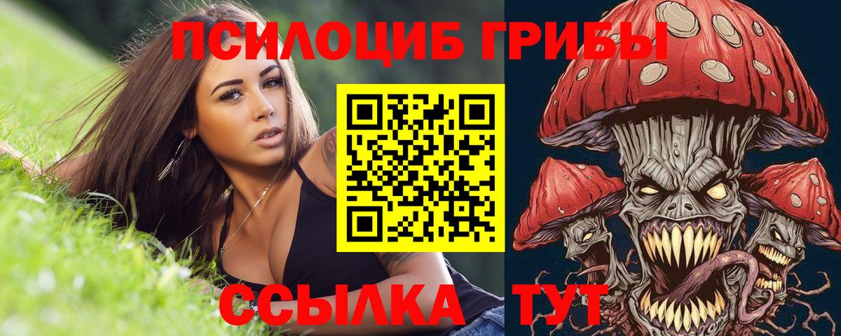 Псилоцибиновые грибы Magic Shrooms Химки